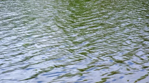 Ripples on the surface of the water. Dynamic video substrate, screen saver. Video stock 154189945