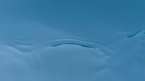 Ripples on the surface of the water. Stock Footage 89948891