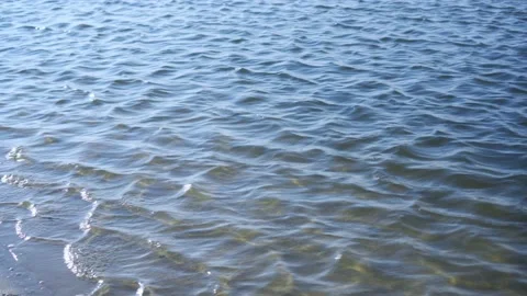 Ripples on the surface of the water. Stock Footage 138935859