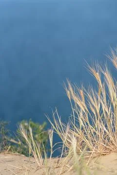 Ripples on the surface of the water Stock Photos