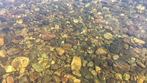 Ripples the surface of the water. The rocky bottom of the mountain river 스톡 동영상 222722366