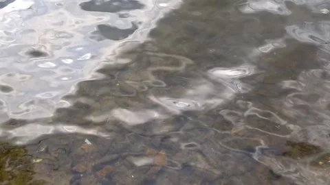 Ripples on surface of water. Weak waves of water in pond near shore. Stock Footage 255805671