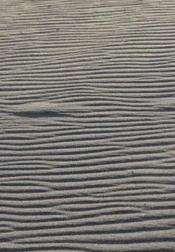 Ripples in the surface of wind-blown sand Stock Photos