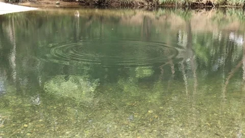 Ripples on a Tranquil Pond Stock Footage 286405343