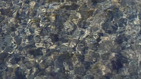 Ripples on the transparent surface of the sea Stock Footage 99191960