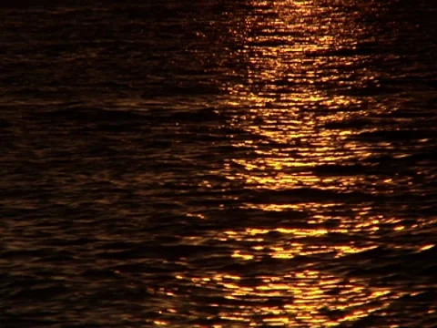 Ripples In Water 10 Stock Footage 8691311