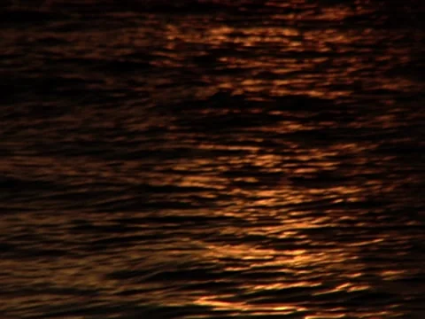 Ripples In Water 11 Stock Footage 8691314