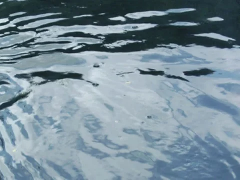 Ripples In Water 12 Stock Footage 8691432