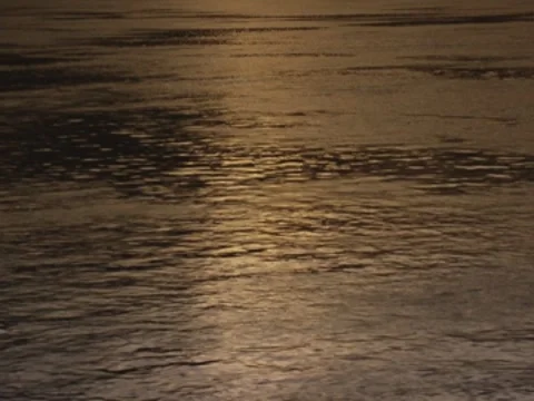 Ripples In Water 8 Stock Footage 8691279
