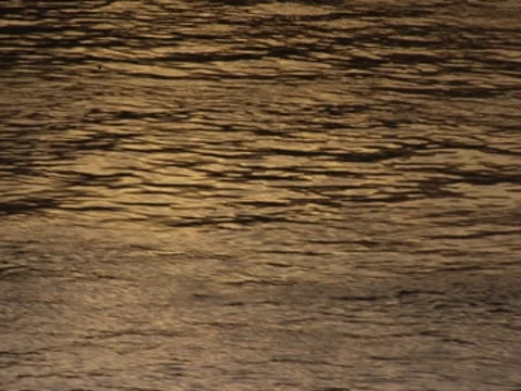 Ripples In Water 9 Stock Footage 8691284