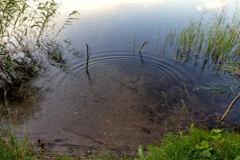 Ripples on the water and reflection of clouds. Stock Photos