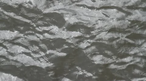 Ripples on the water close-up Stock Footage 21621197