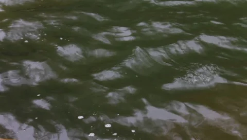 Ripples in water Stock Footage 4517179