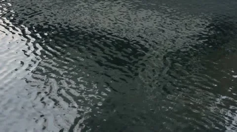 Ripples in Water Stock Footage 9034361