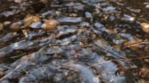 Ripples In Water Stock Footage 33936077