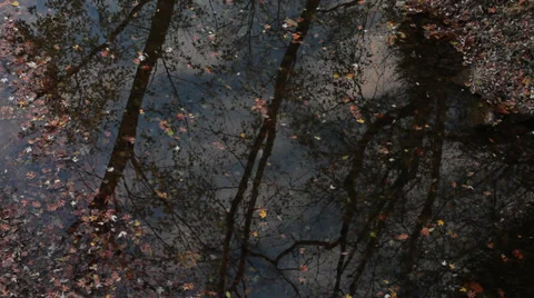 Ripples on the Water Stock Footage 36045439