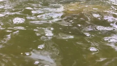 The ripples on the water Stock Footage 79076229