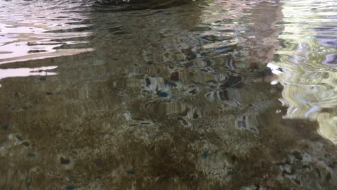 Ripples on the water. Stock Footage 93833610