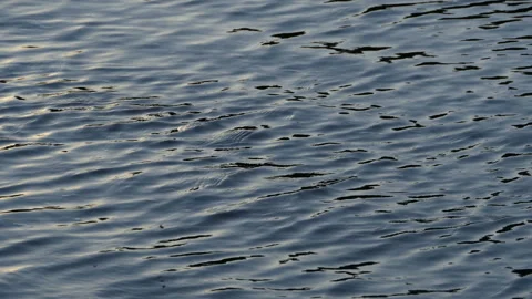 Ripples on the water Stock Footage 135970774