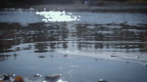 Ripples in the water Stock Footage 224243203