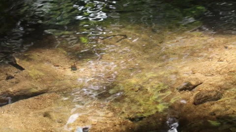 Ripples on the water Stock Footage 303435740