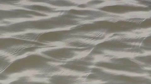 Ripples in Water - Motion Background Stock Footage 51445352