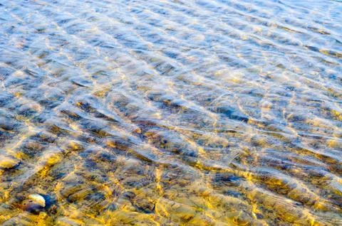 Ripples in the water Stock Photos