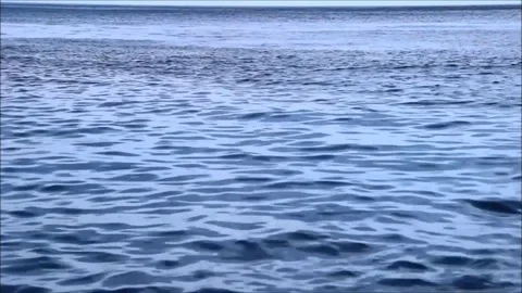 Ripples in the water before rain Stock Footage 77862861