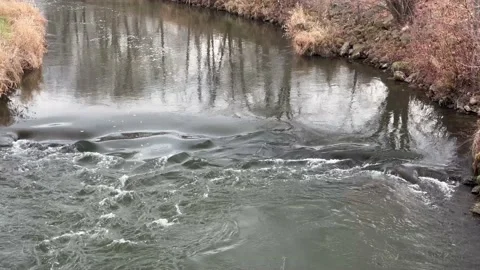 Ripples in the water as the river flows Stock Footage 230031980