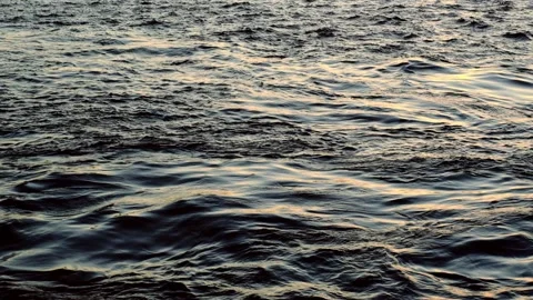 Ripples on the water in the river Stock Footage 233495224