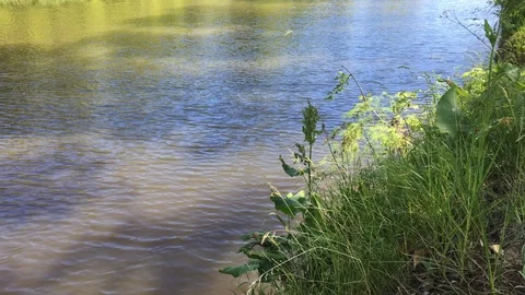 Ripples on the water from the river in the perspective of a steep grass. 動画素材 109435133