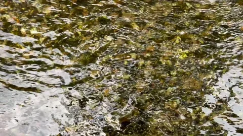 Ripples on the water of a stream Stock Footage 321761217