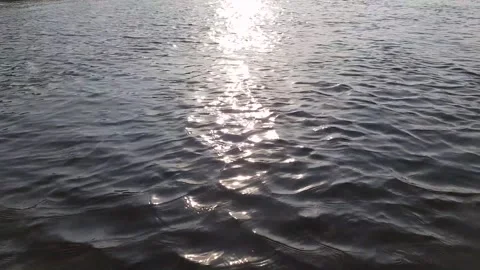 Ripples in the water at sunset. Stock Footage 221564617