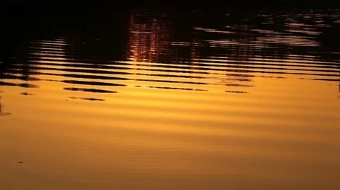 Ripples on water in sunset light Stock Footage 992949