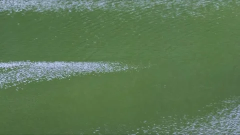 Ripples on the water surface during gusts of wind, creating a dynamic and l.. Stock Footage 311817416