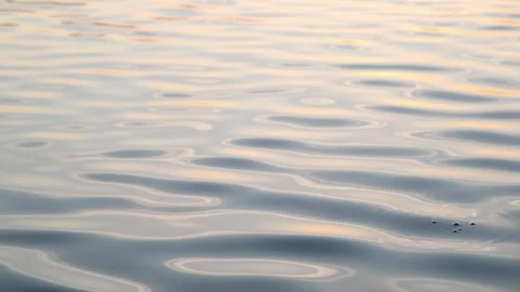 Ripples on water surface during sunset. Calm lake waves reflecting golden light Stock Footage 340356839