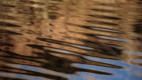 Ripples on the water surface Vídeos de archivo 94884360