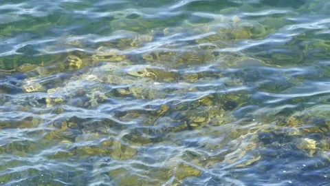 Ripples on water surface Video stock 134381667