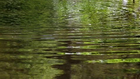 Ripples on the water surface Stock Footage 155087287