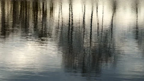 Ripples On The Water Surface Stock Footage 185568883