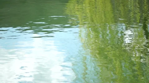 Ripples on the water surface with reflection of branches of weeping willow tree Vidéo 237340549