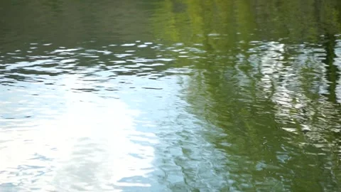 Ripples on the water surface with reflection of branches of weeping willow tree Vidéo 245973918