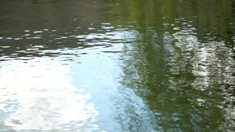 Ripples on the water surface with reflection of branches of weeping willow tree Vidéo 253262821