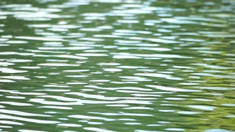 Ripples on water surface with the reflec... | Stock Video | Pond5