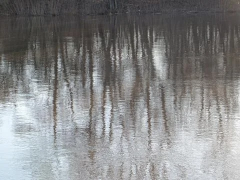 Ripples on the water surface with tree silhouettes in early spring Stock Photos