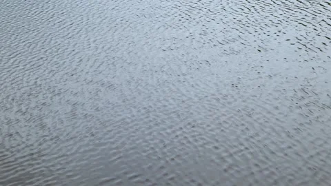 Ripples on the Water Surface from Wind Stock Footage 241337719