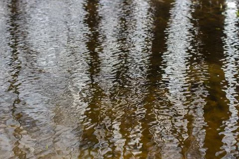 Ripples on water. Texture of water in spring. Big puddle. Stock Photos