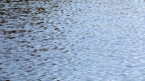 Ripples on water, waves Stock Footage 82320693