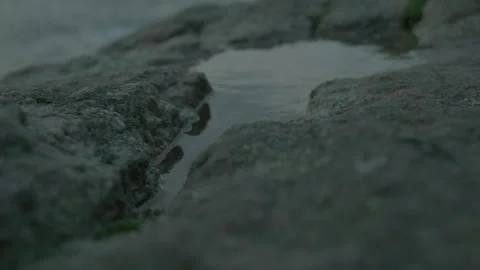 Ripples of water from the wind in the stone on the beach Stock Footage 273707874