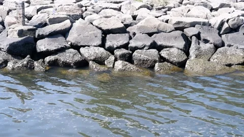 The ripples of the waves that hit the rock that separates the sea from the land 스톡 동영상 205440335